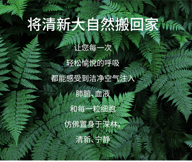未標(biāo)題-1_14.jpg